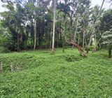 1 Acres of Land for Urgent Sale in Ahugammana, Delgoda