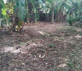 Exclusive Land for Sale – 50 Perches on Parakrama Road, Gampaha.