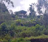 House and land for sale in Palmestan Lindula