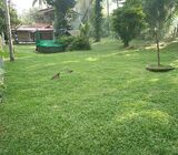 Valuable Residential Land for Sale in Kelaniya.