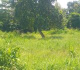 40 Perch Commercial cum Residential Land for Sale in Kandana – Peralanda