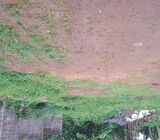 Valuable Land for Sale -Kelaniya Pethiyagoda