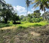 Valuable Land for Sale in Amunuwatta Road, Kurunegala.